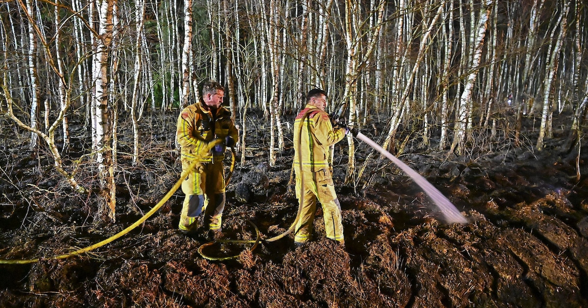 Stuk bos in brand door zwaar vuurwerk in Budel-Schoot, resten van mortier liggen tussen de bomen