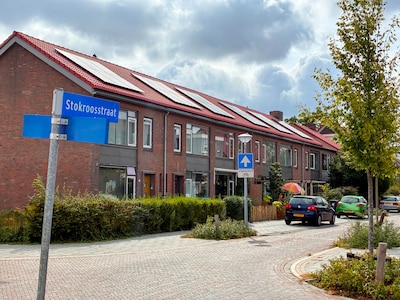 Directeur Wooninc. door het stof, gesprekken over herstel na mislukte renovatie in Stokroosstraat he