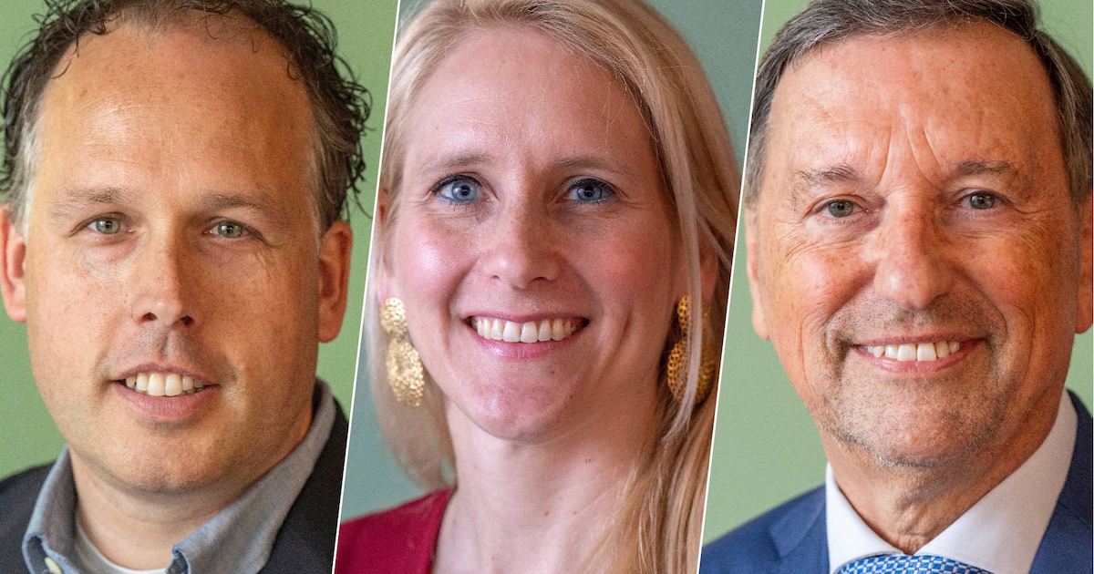 Helmondse wethouders mogen aanspreekpunt in eigen wijk zijn, maar gaan niet te diep op zaken in