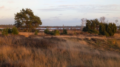 IVN Helmond houdt seniorenwandeling op Strabrechtse Heide