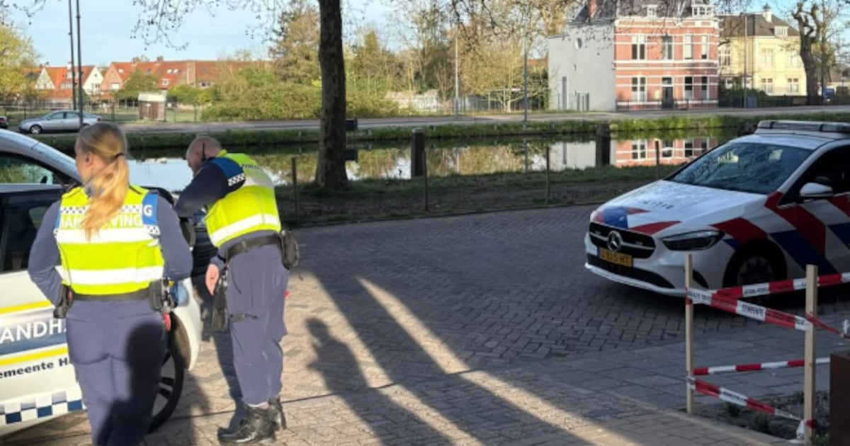 Man zonder verblijfspapieren bespuugt handhaver in Helmond