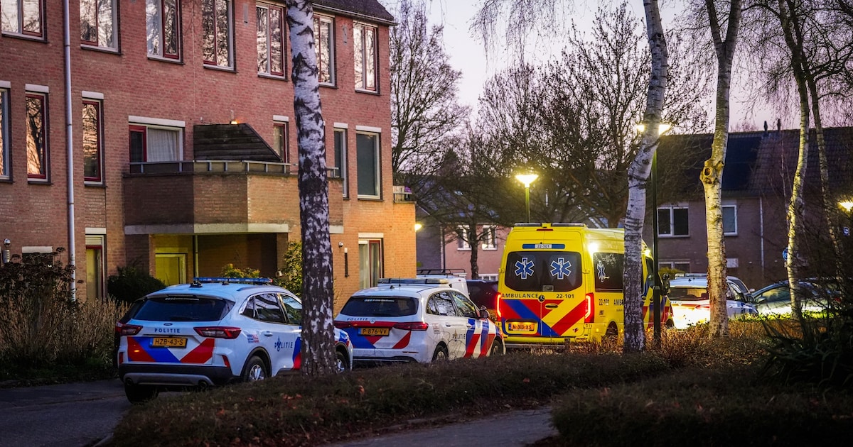 Man klimt op eigen dak in Nuenen: buurtbewoners spreken van ruzie vooraf