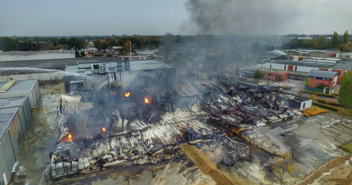 Bouw nieuwe hal Koster Keunen in Bladel van start | Regio | ED.nl