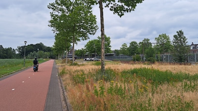 Alleen Forum voor Democratie keert zich tegen antennemast van 40 meter in Helmondse wijk Brandevoort