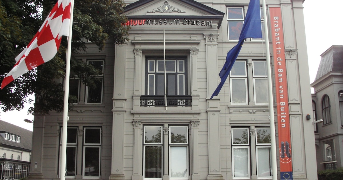 Uitvergrote foto's van insecten bij tentoonstelling 'Giga' in Natuurmuseum Brabant Tilburg