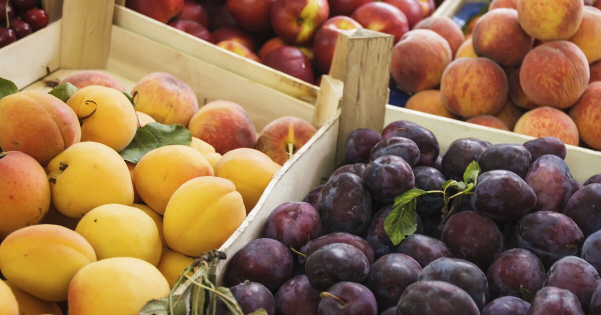 Nijntje groente- en fruitwandeling in Waalre: kinderen leren over eten van groente en fruit