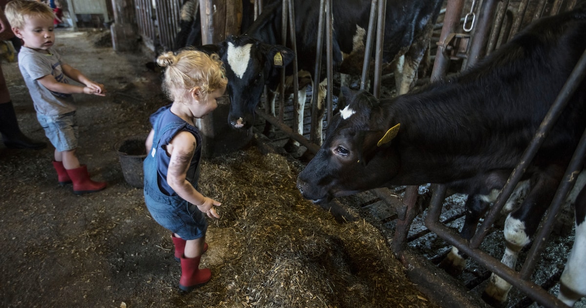 Kinderopvang bij de boer groeit | Gemert-Bakel