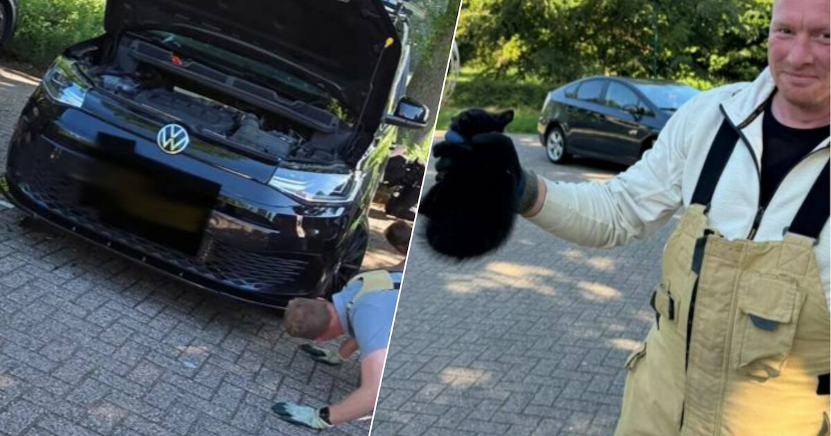 Kitten zit vast onder motorkap in Eersel, brandweerlieden en agenten ...