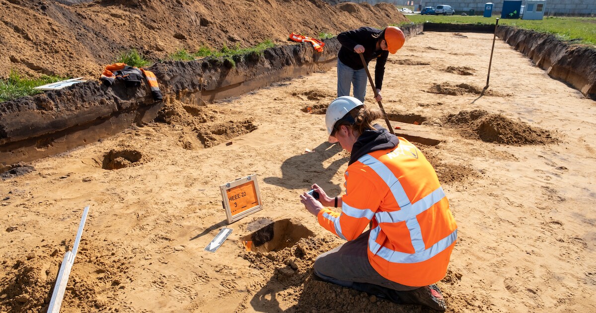 Archeologen onderzoeken grafheuvels in Baarlo