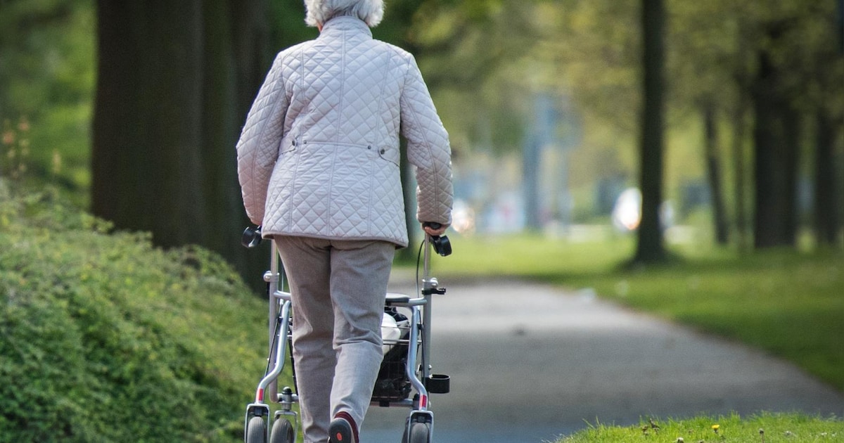 Wandelactiviteit voor senioren in Bladel: route ook geschikt voor een rollator