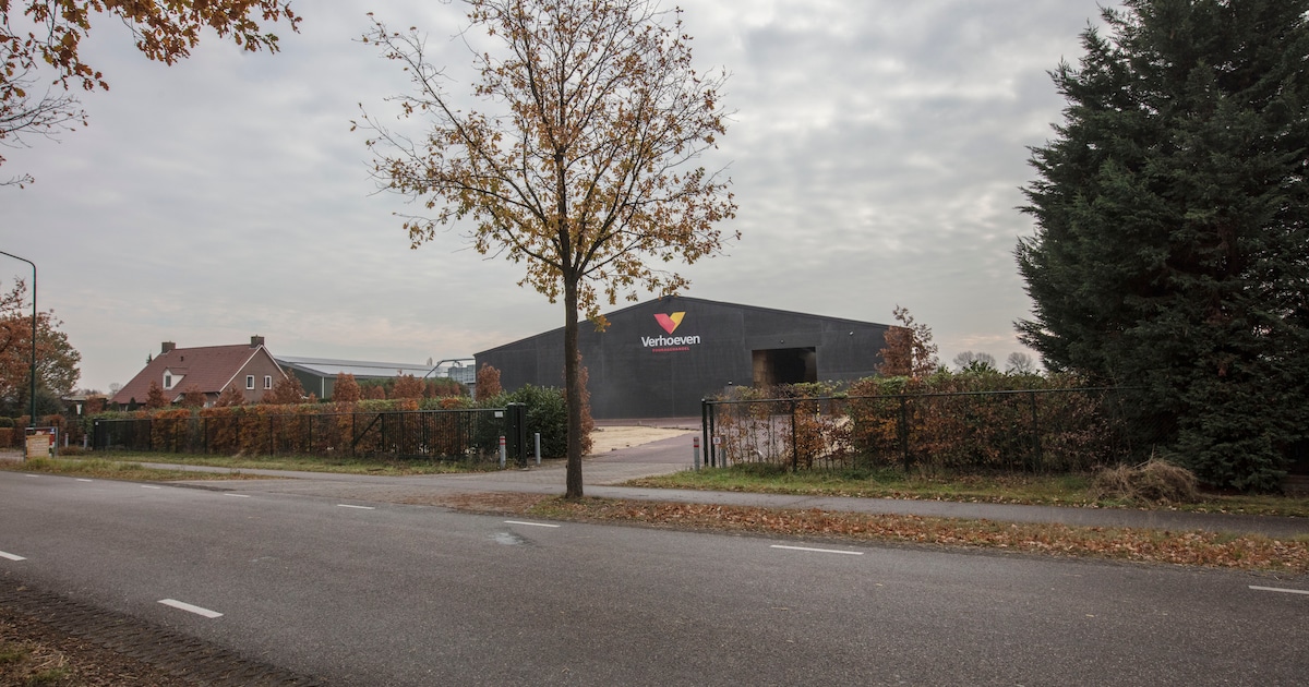 Rechter kijkt naar overtredingen van fouragehandel in Soerendonk