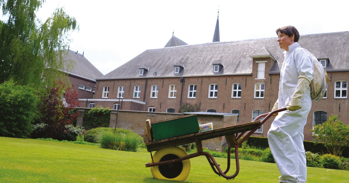 hoe-het-lieve-vrouwke-megen-door-de-eeuwen-heen-beschermde-tegen