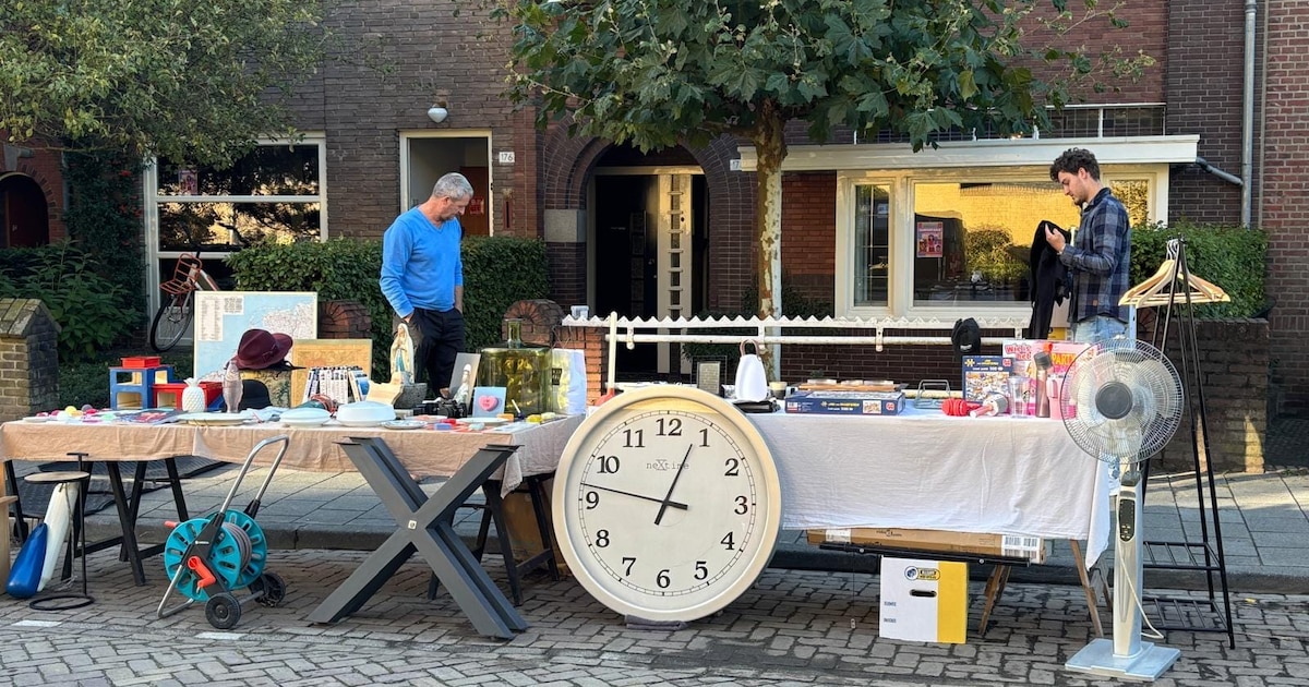 Garagesale in buurt De Driesprong in Reusel vindt zondag plaats