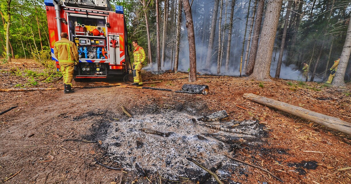 Kampvuur leidt tot bosbrand in Riethoven