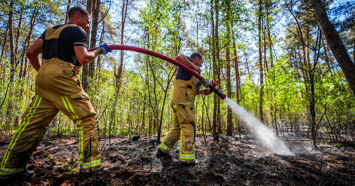 Weer breekt brand uit in bossen bij Oostelbeers, opnieuw aanwijzingen voor brandstichting
