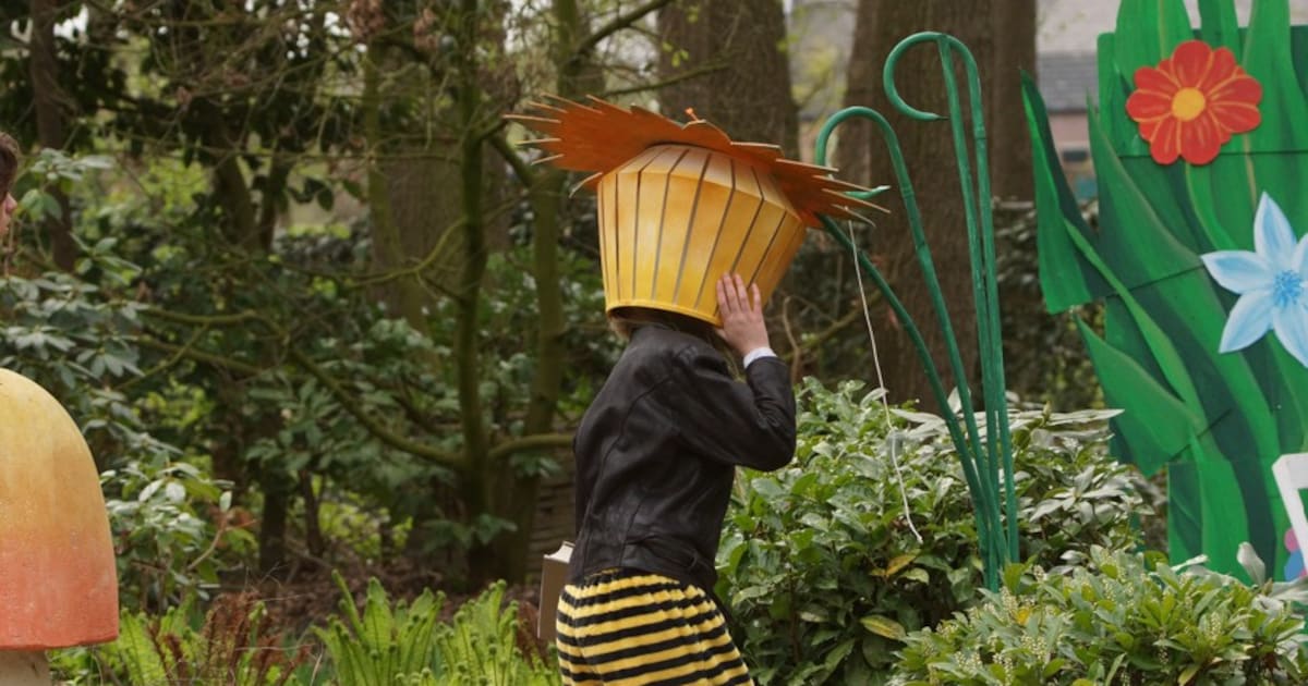 Familievoorstelling Erik of het klein insectenboek in Someren