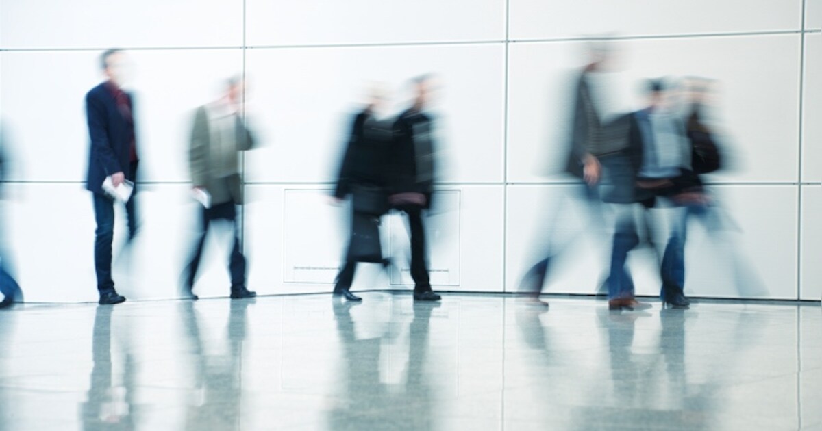 Jonkers Middelbeers uitgebreid tot 3,7 ha