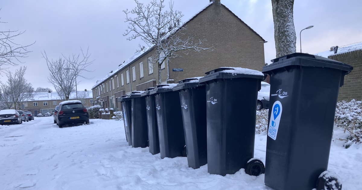 Oud papierinzameling vervalt door sneeuw in Bergeijk