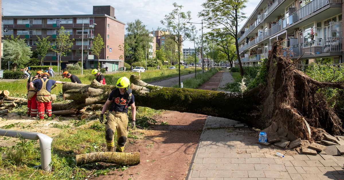 Fors minder schade in Cranendonck door noodweer vorig jaar