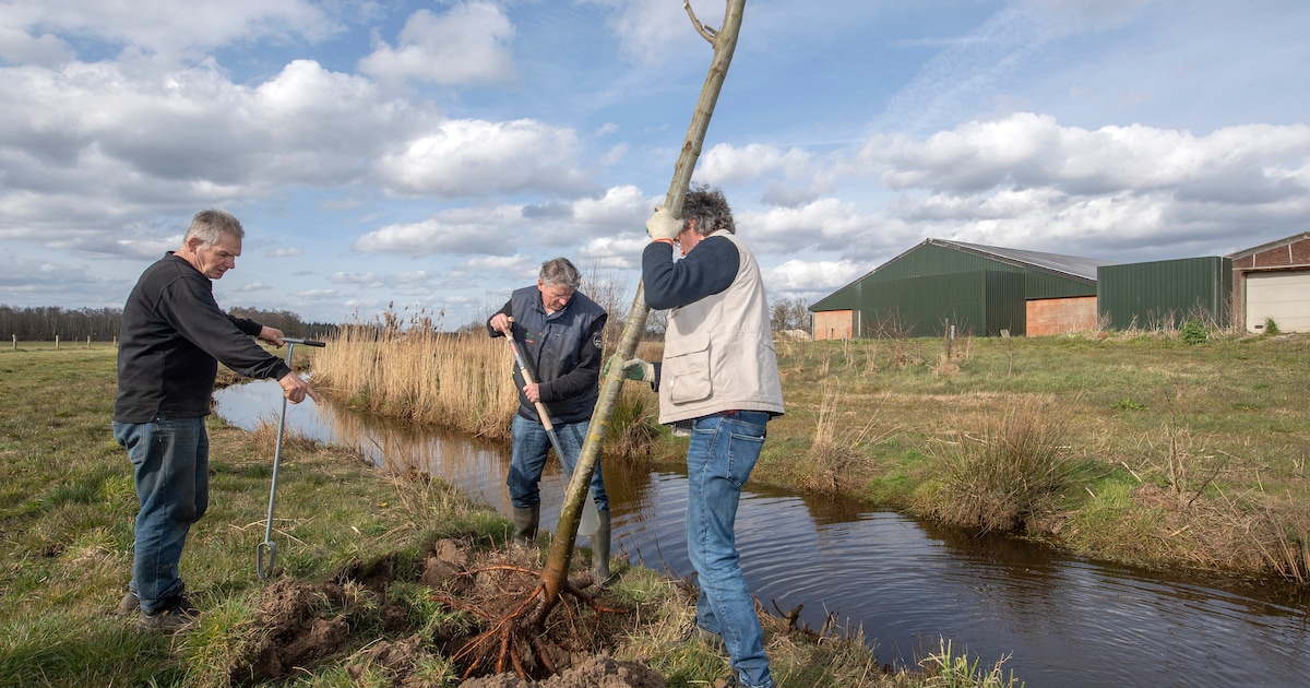 Plekken zoeken waar bomen oud kunnen worden