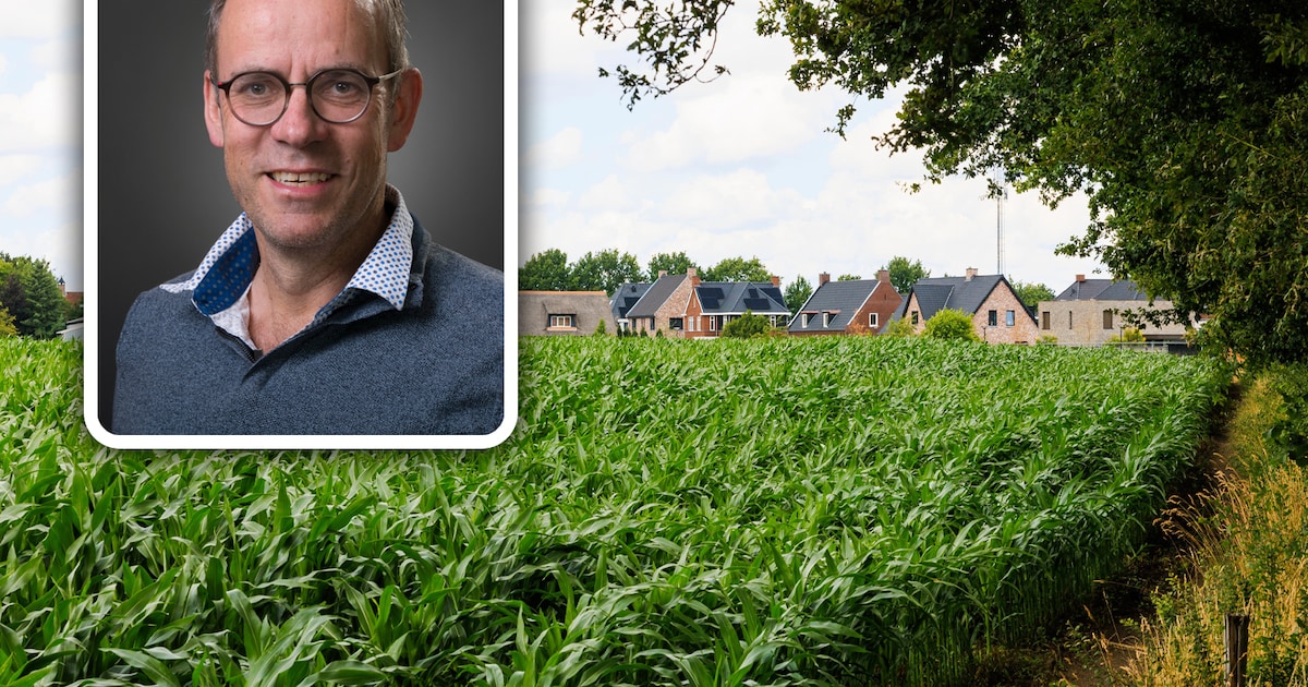 ‘Ik heb niets raars gedaan’, zei Corné de Rooij over gronddeal tegen ...