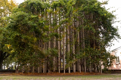 Een nieuw textielmonument? Leer van eerdere fouten!