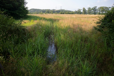 Natuurbegraafplaats Vaarlese Hoef op Landgoed Gulbergen biedt plek aan wel 20.000 graven in het groe