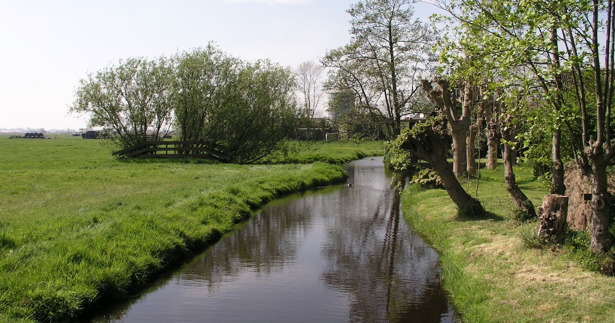 Nuenen start met schoonmaken van duikers en sloten om wateroverlast te voorkomen