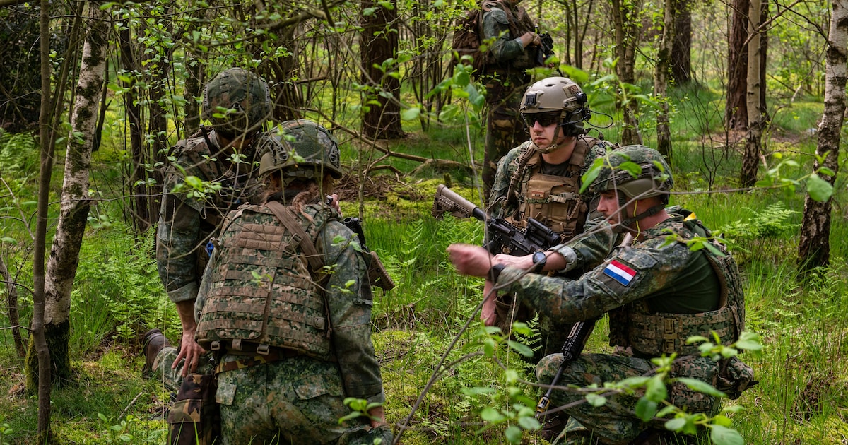 Militaire oefening in Waalre en omgeving