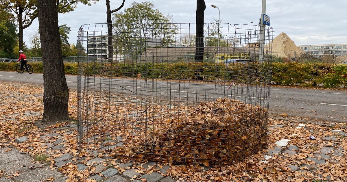 Bladkorven voor bladafval staan weer in gemeente Heeze-Leende