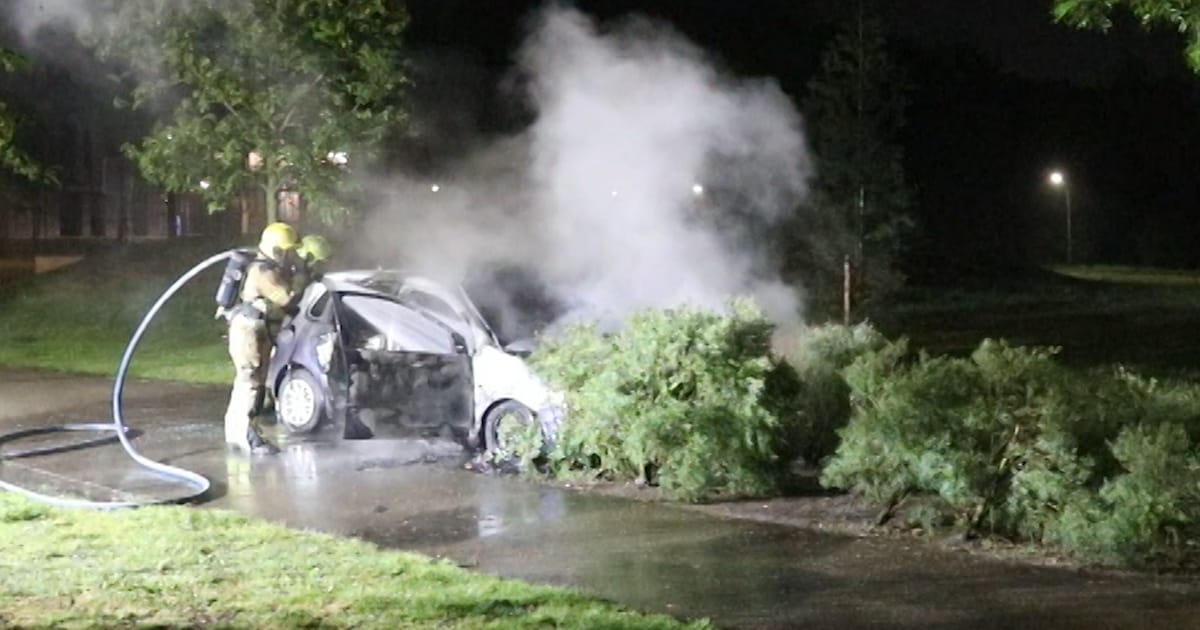 Politie na uitgebrande auto in Etten-Leur: voertuig bewust in park neergezet en in brand gestoken
