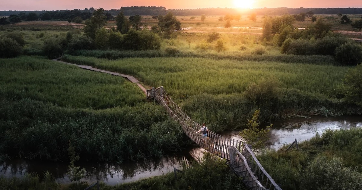 IVN Geldrop houdt wandeling door natuurgebied De Plateaux-Hageven in Bergeijk