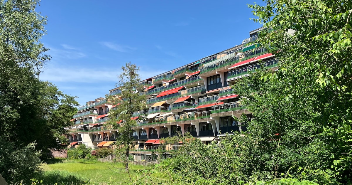 Bewoners terrasflats Geldrop blij na megarenovatie; binnen werd het soms 40 graden