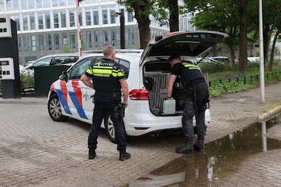 Docent Fontys vocht voor haar leven: ‘Ik kan zo niet doodgaan, ik heb twee kleine kinderen’
