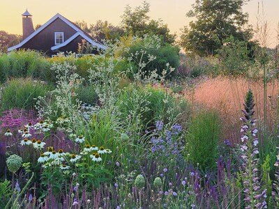 Lezing in Asten over genieten van eigen tuin