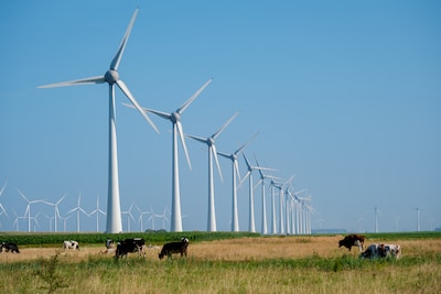Na vijf jaar juridisch gesteggel groen licht voor bouw windpark in Reusel