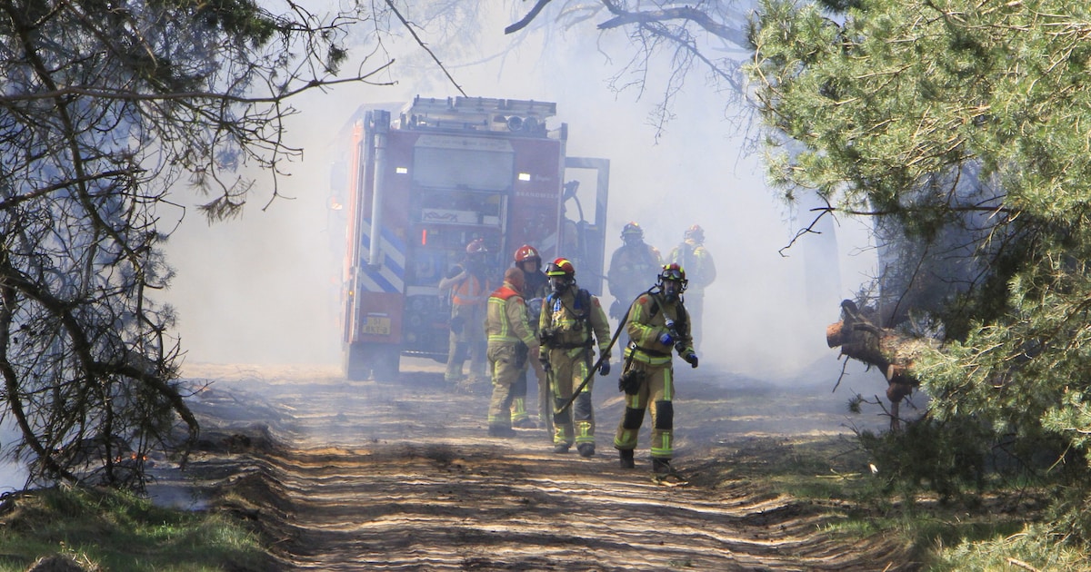 Grote natuurbrand op militair oefenterrein in Weert