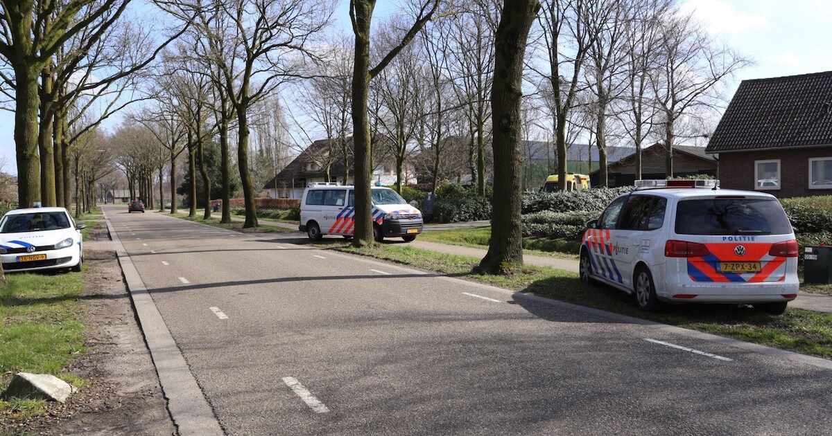 Jonge vrouw gewond na val van paard tijdens proefrit in Lage Mierde