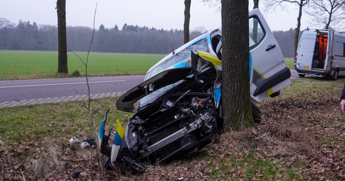Bestuurder wordt onwel en botst met bestelauto tegen boom in Elsendorp