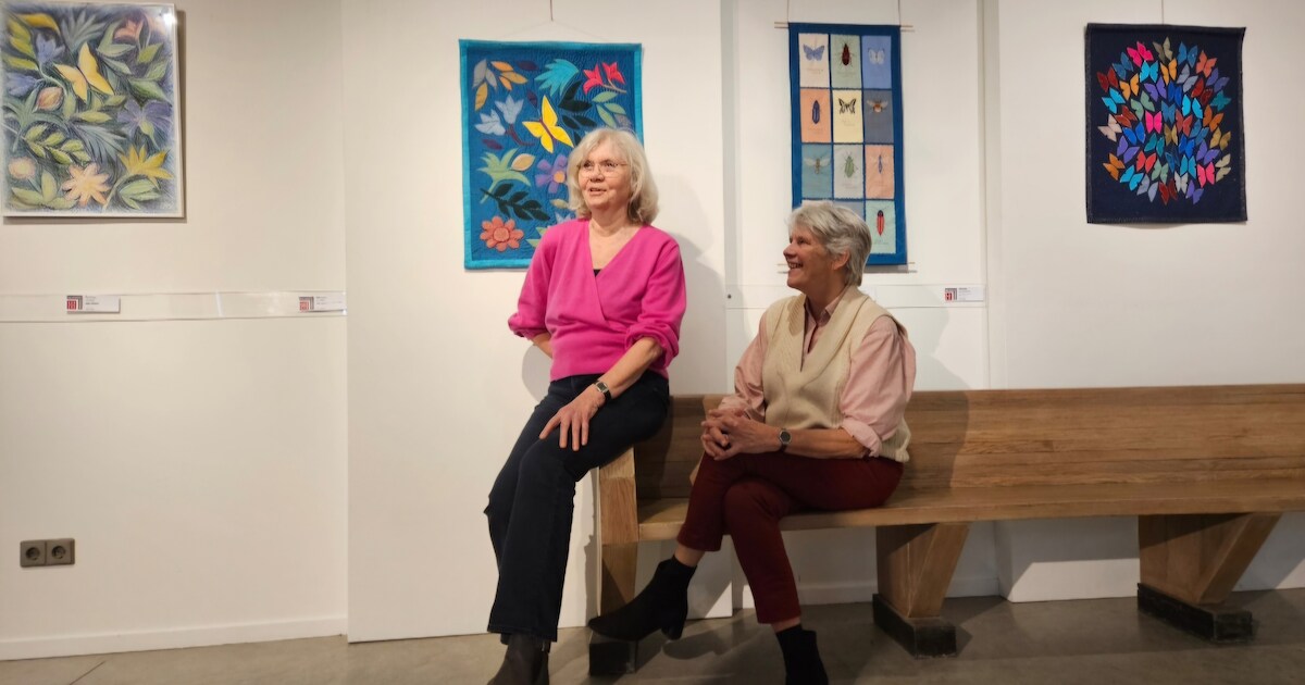 Vlinders Fladderen Door Het Waalres Museum Waalre ED nl