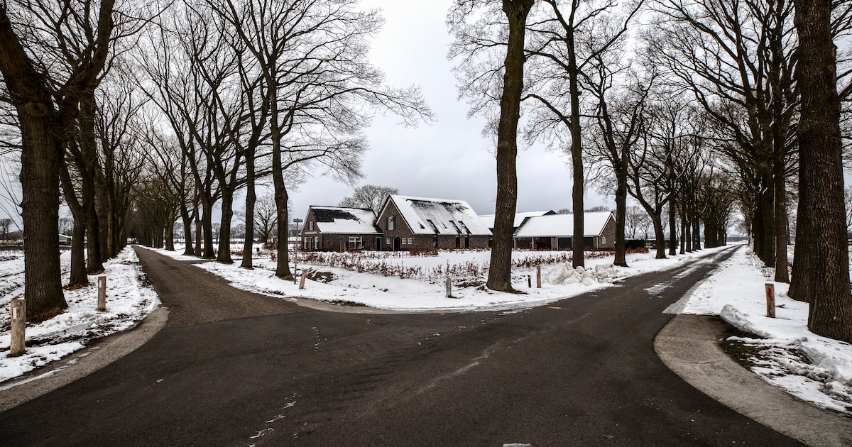 Rekenfouten komen Deurnes plan voor bedden arbeidsmigranten duur te staan: geen vergunning