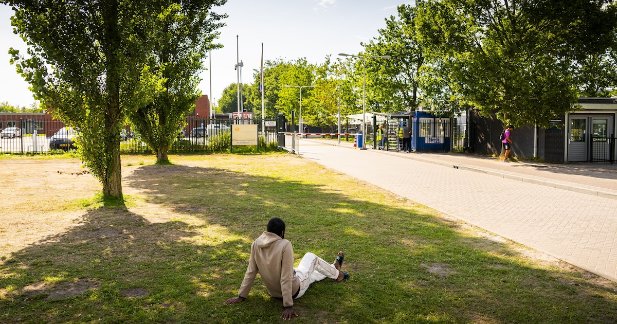 Weken ‘geen betrouwbare cijfers’ over asielinstroom, en vier andere bevindingen over het EU-migratie