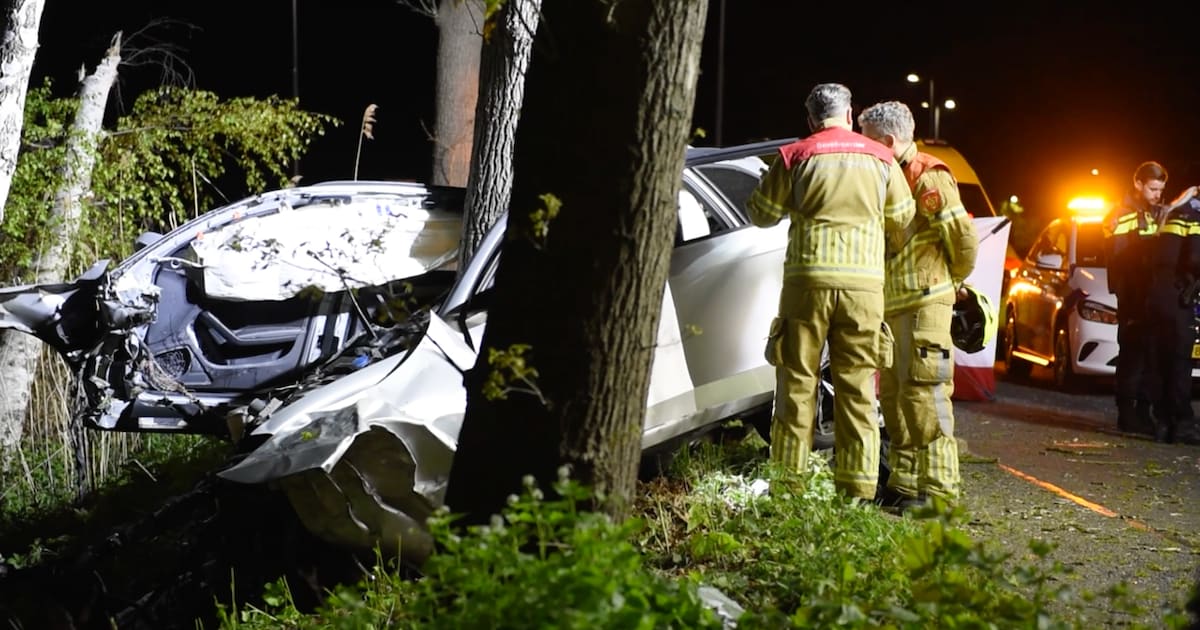 Vrouw (30) overleden nadat auto frontaal op boom botst in Weert