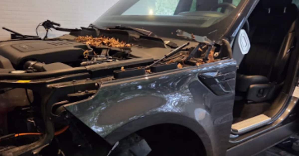 Auto kaalgeplukt bij woning in Waalre: dieven nemen zelfs portieren mee | 112 nieuws Waalre