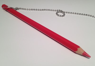 Buffet en uitleg over de verkiezingen voor internationals, georganiseerd door GroenLinks-PvdA