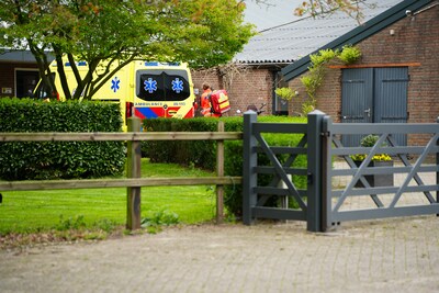 Man zwaargewond door trap van paard in De Moer