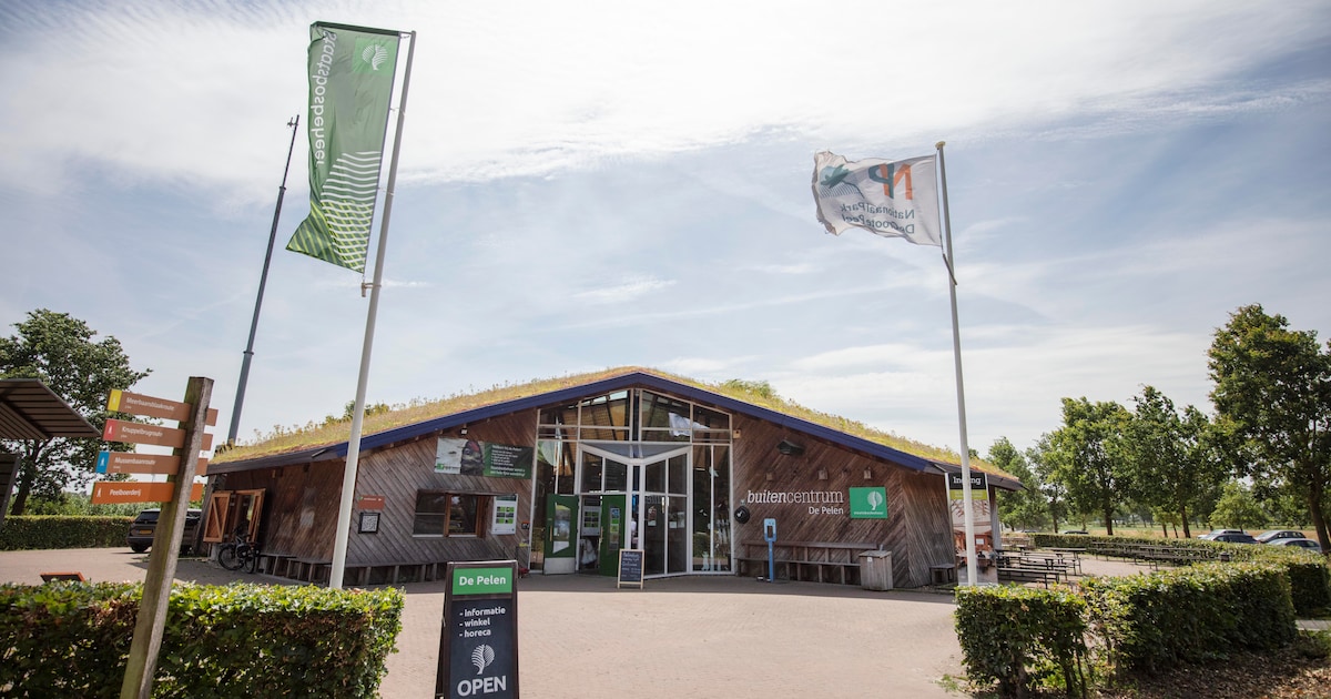 Taart eten kan straks nog steeds in bezoekerscentrum bij de Peel, maar wie vertelt alles over het ve