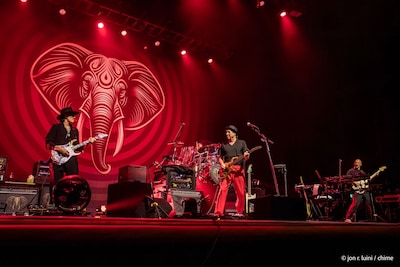 Gitaargod Steve Vai en Beat eren King Crimson in Tilburg: ‘Ik wil elke avond die miljoen noten foutl