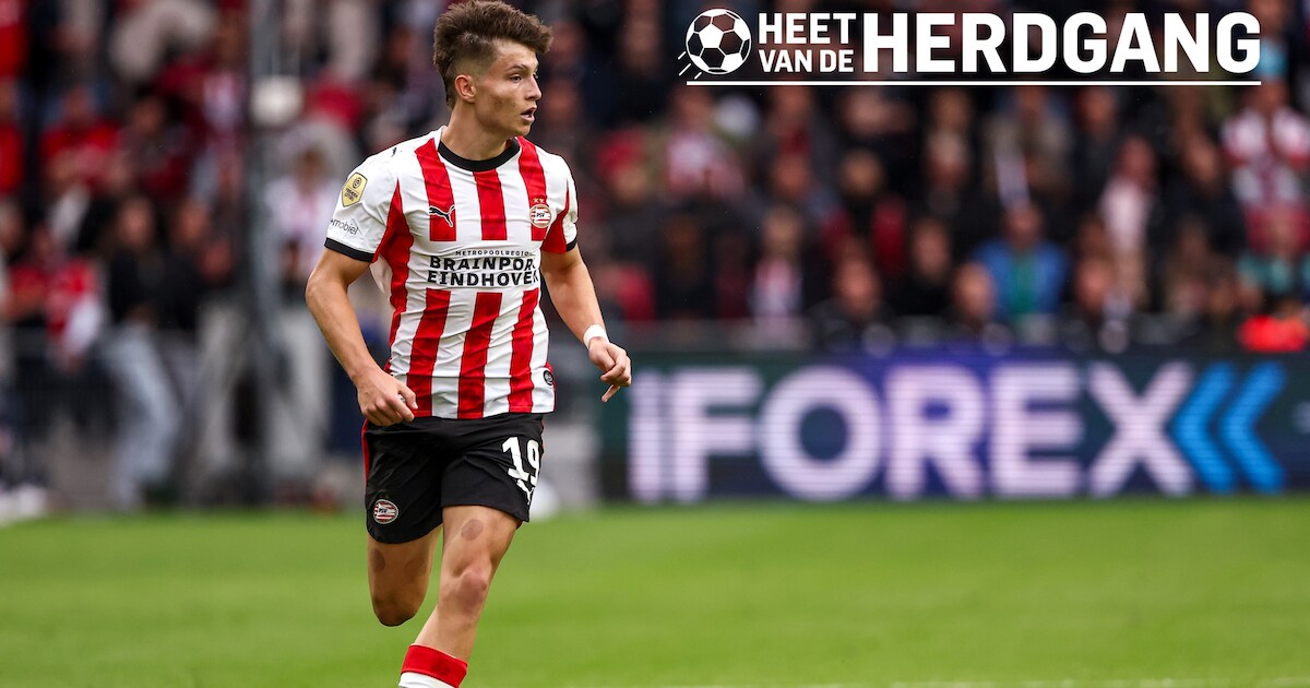 Heet van de Herdgang | Poll: Wordt Esmir Bajraktarevic de vaste ...
