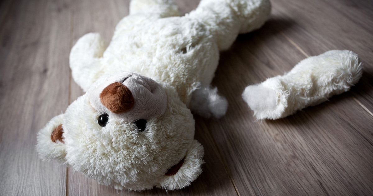 Aantal meldingen bij Veilig Thuis in Nuenen, Gerwen en Nederwetten gestegen